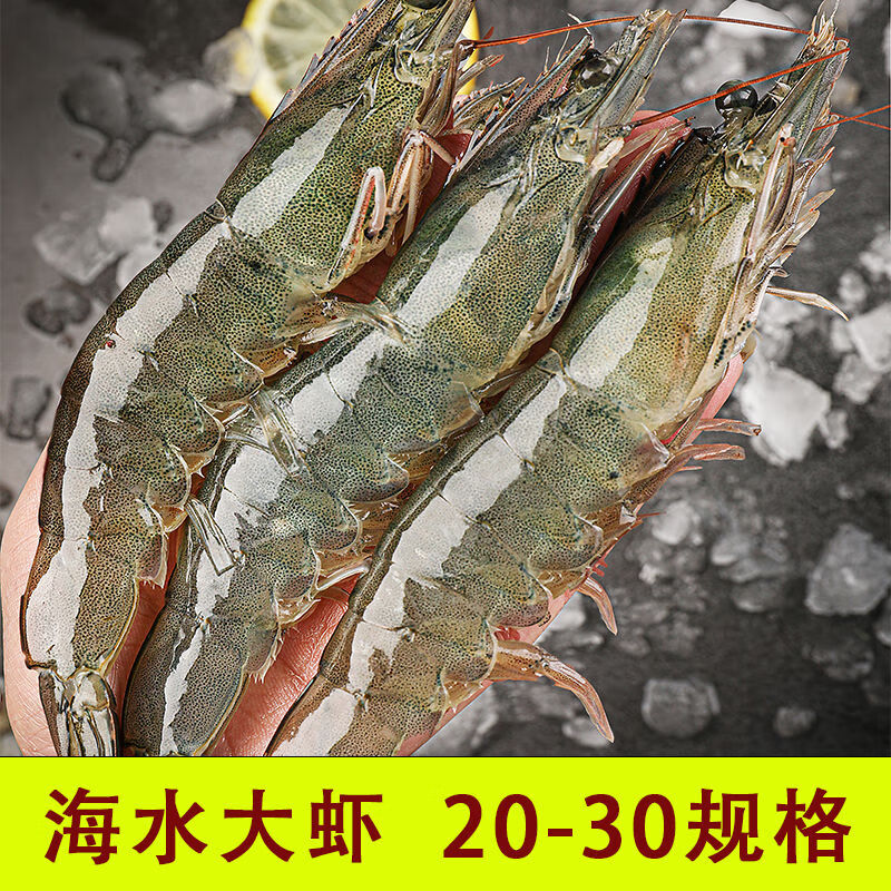 百度网盘 第43页