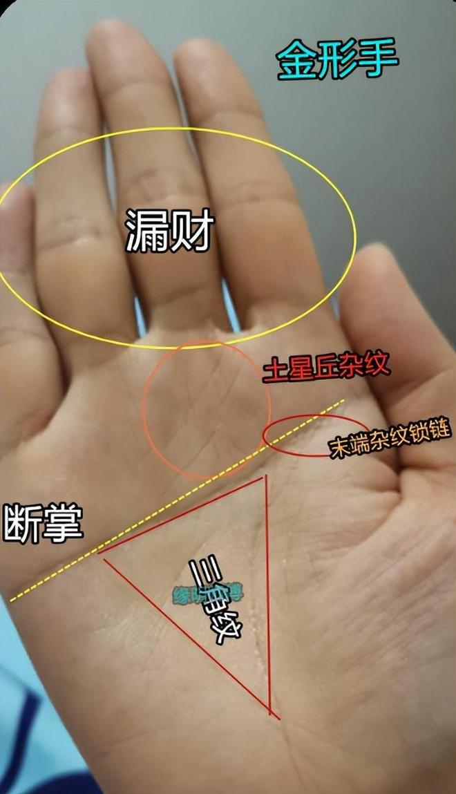 男孩断掌代表什么意思,男孩断掌代表什么意思图片