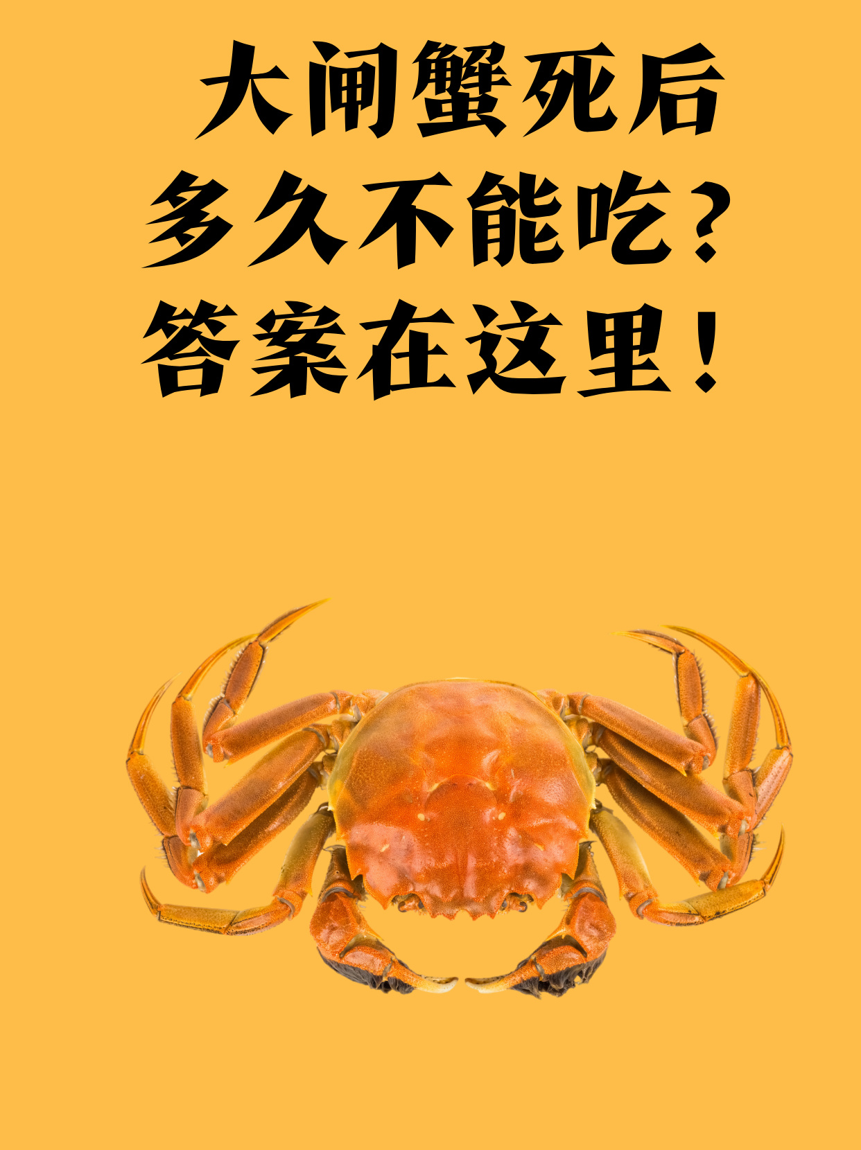 螃蟹不能一起吃的食物,螃蟹不能跟什么一起吃饭