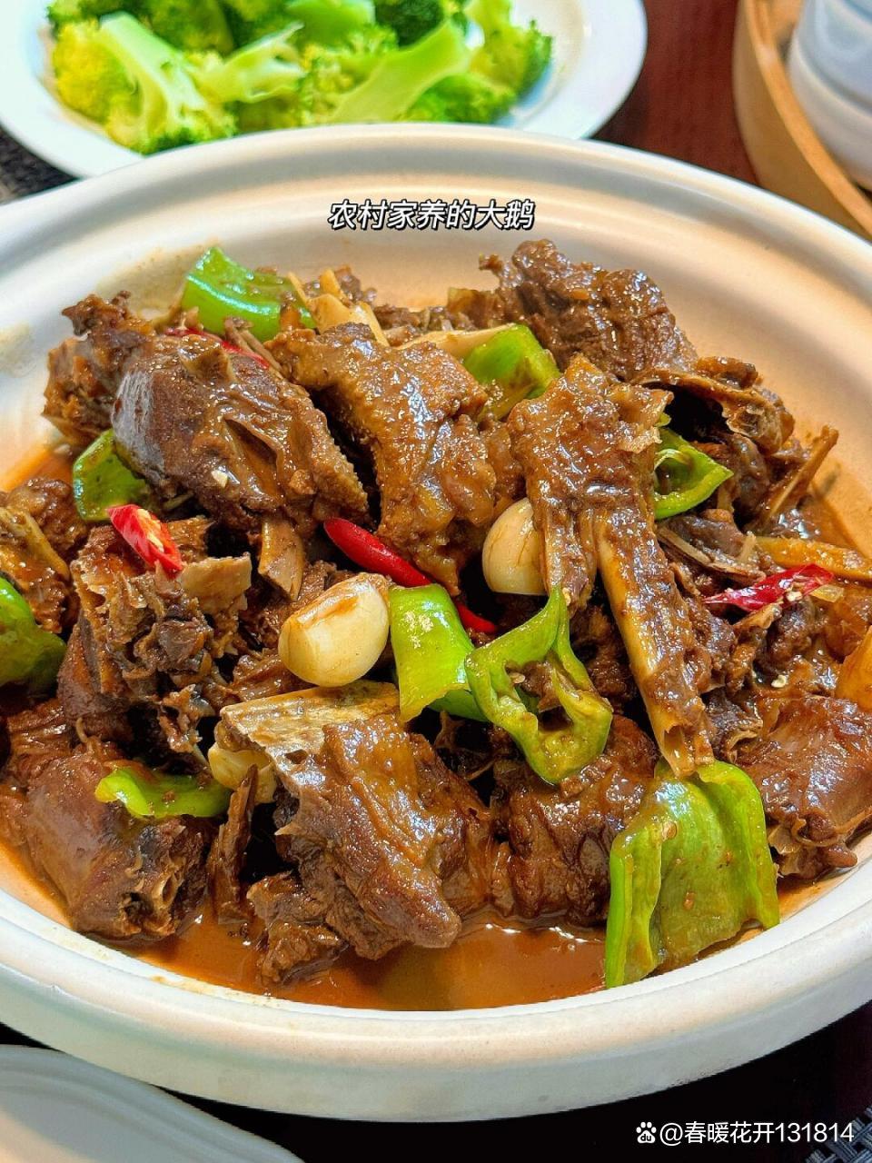 炖鹅做法,炖鹅的做法大全窍门