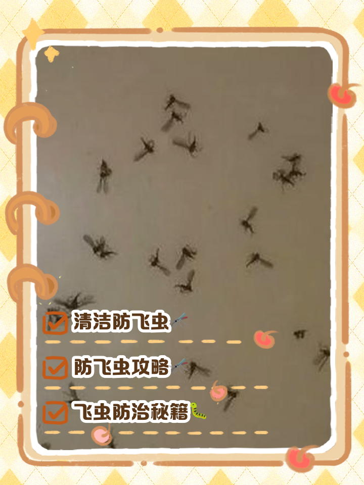 房间小飞虫根治办法分享,房间小飞虫怎么消除叫什么