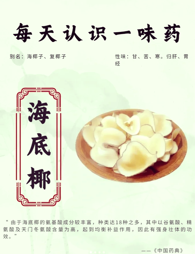 海底椰的功效与作用,海底椰的功效与作用的功能与主治