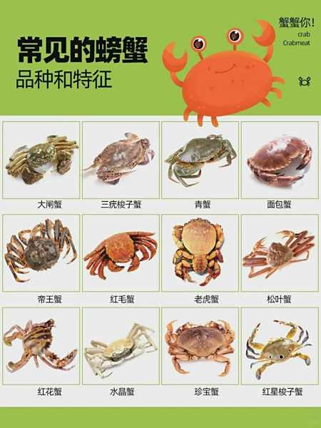 公螃蟹和母螃蟹的区别,公螃蟹和母螃蟹的区别,哪个有红膏