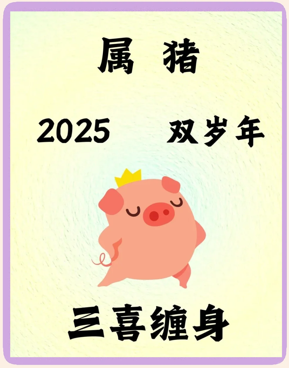 属猪的人什么数字最旺,属猪的什么数字是幸运数字