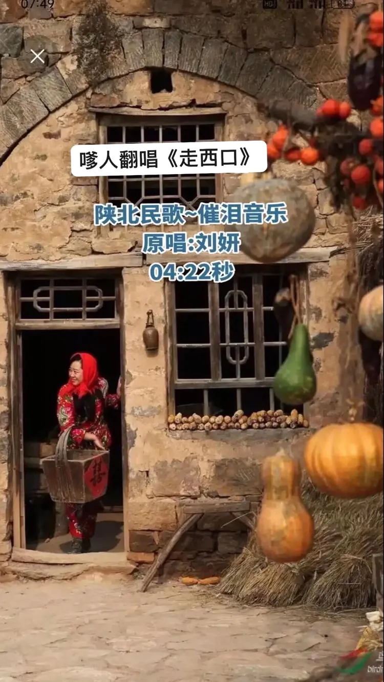 走西口的眼泪原唱移动端,走西口的眼泪歌曲原唱吴海燕唱