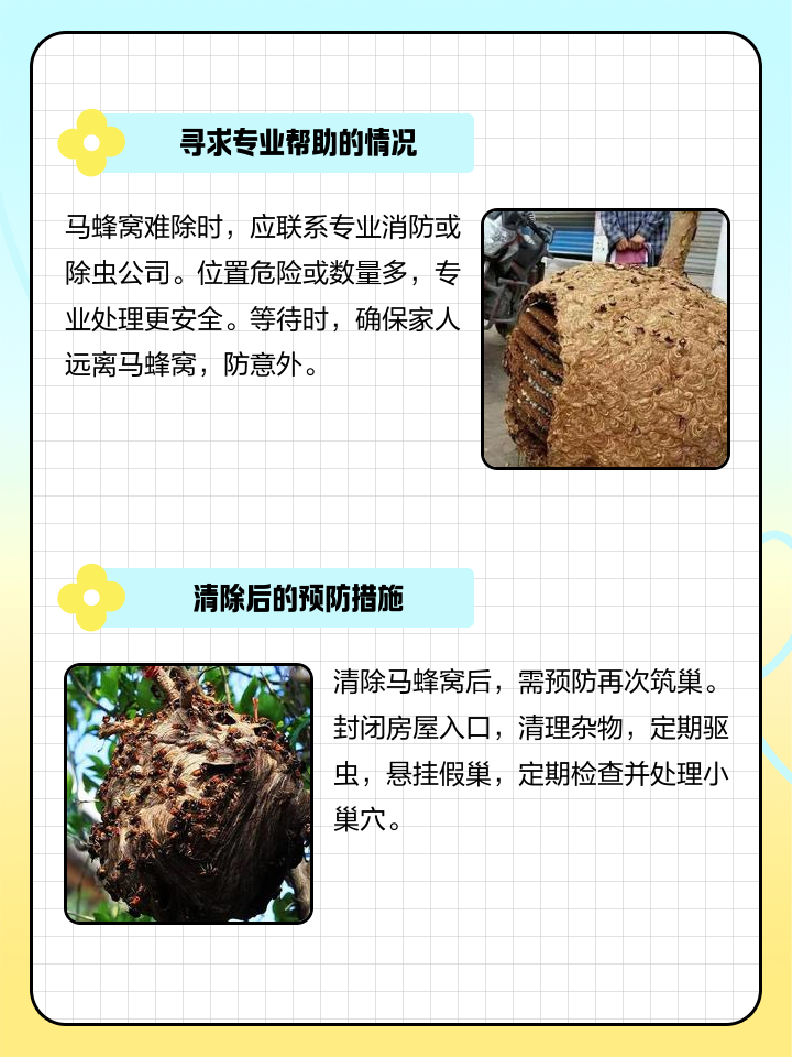 如何处理家里的马蜂窝,如何处理家里的马蜂窝图片