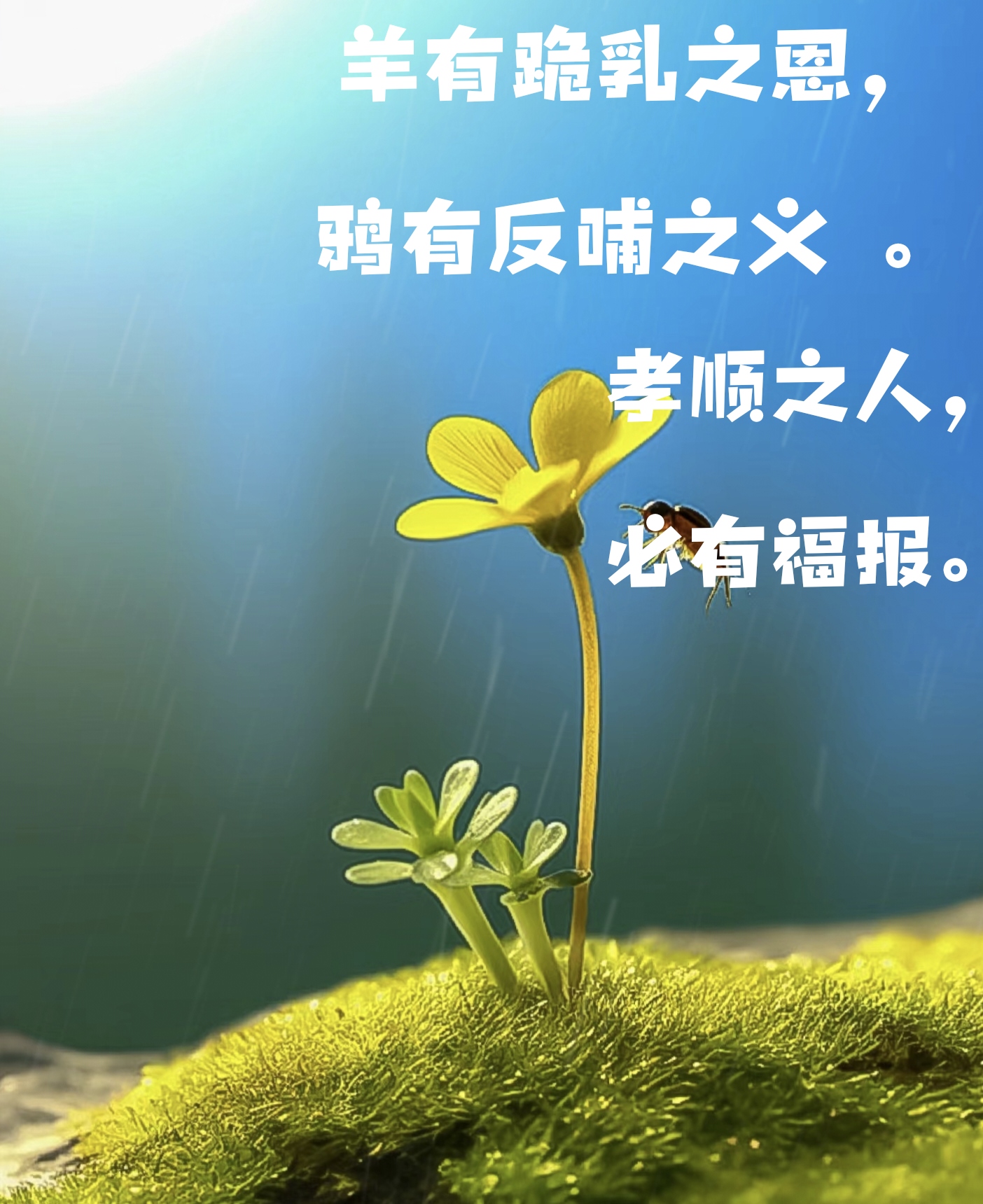 孝敬父母的名言,孝敬父母的名言10条