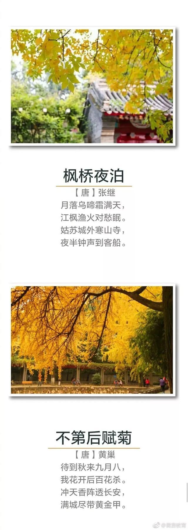 关于秋的诗诗句,关于秋的诗句10句