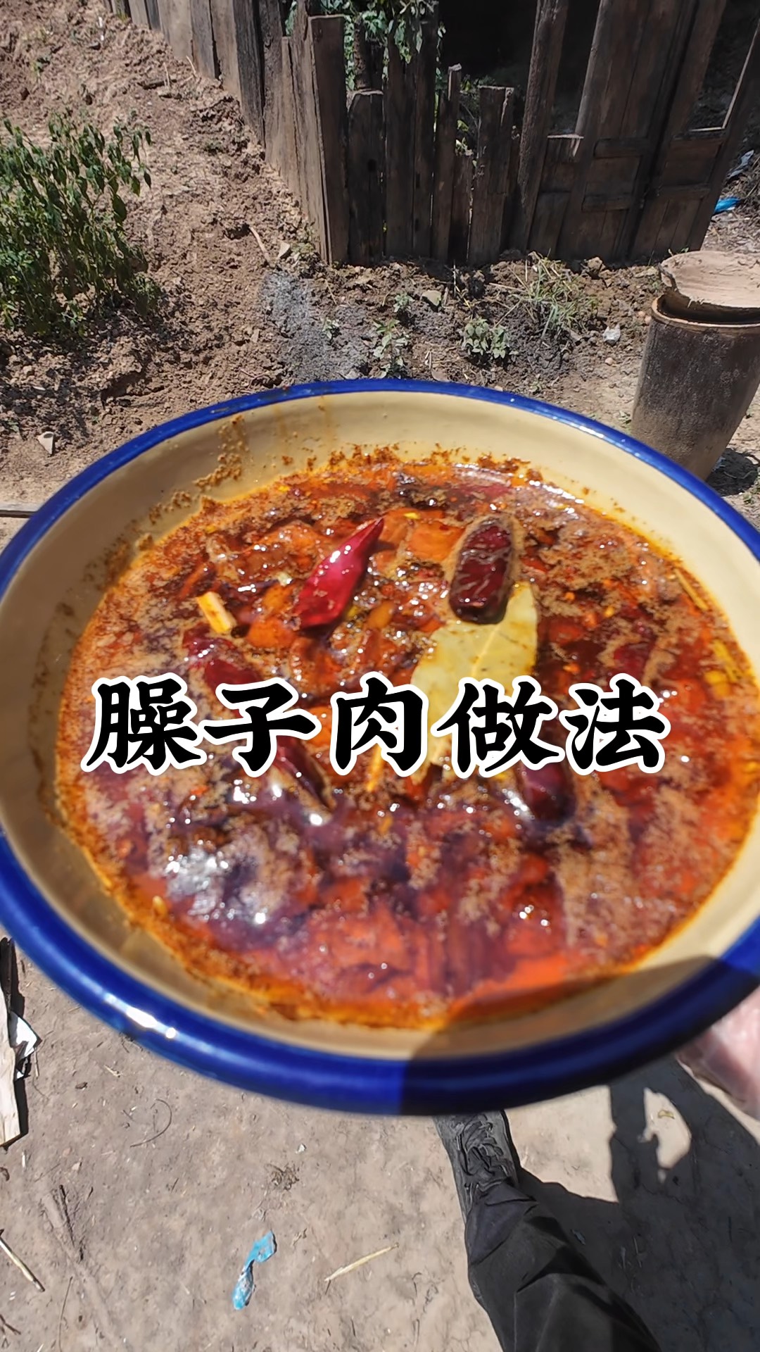 肉臊子的做法步骤,肉臊子的做法大全集及保存