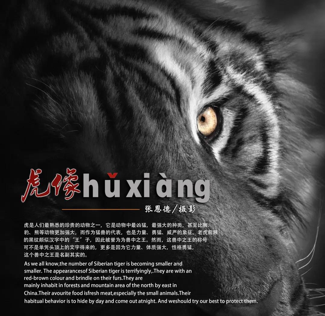 正龙拍虎是什么意思,正龙画虎是哪一年发生的事