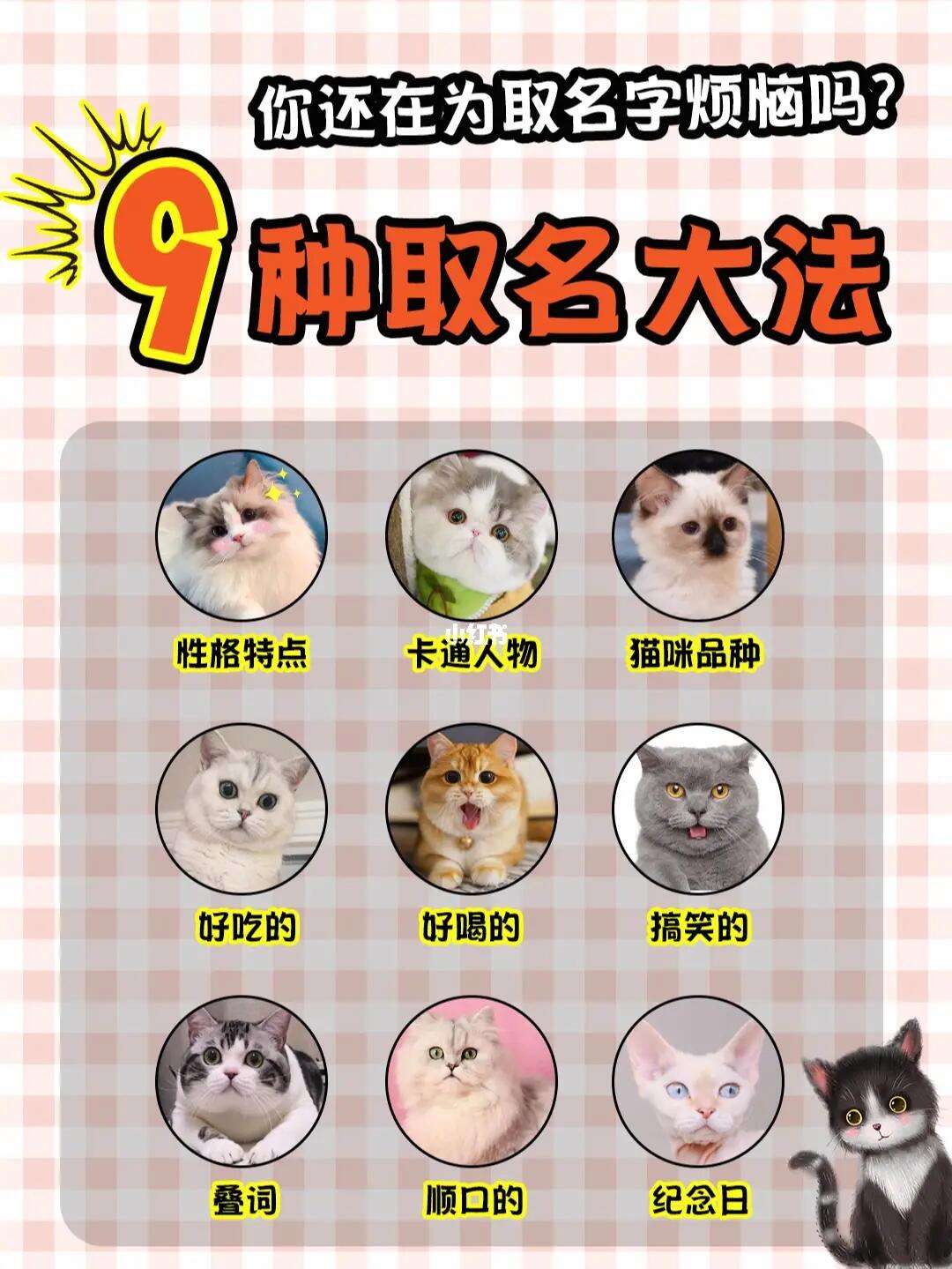 给宠物取名,给宠物取名字英文