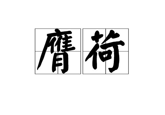 荷的拼音怎样读,荷的拼音怎样读音