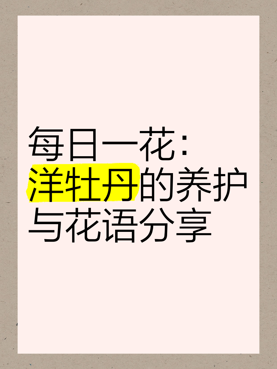洋牡丹花语,洋牡丹花语文案短句