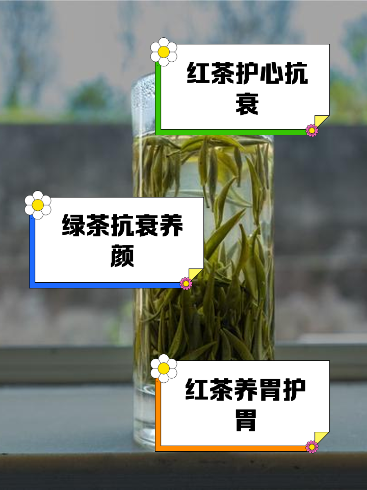 喝红茶好还是饮绿茶好,喝红茶好还是喝绿茶好对身体