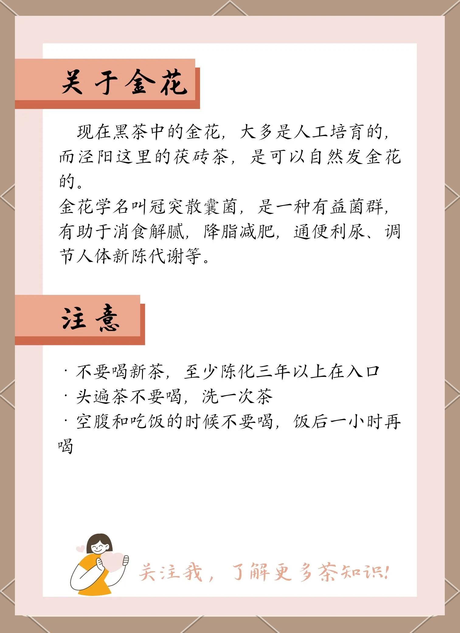 泾阳茯茶有什么功效,泾阳茯茶是哪里的特产