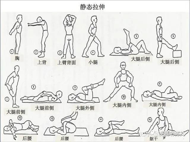 腿拉筋的正确方法中老年,腿拉筋的正确方法中老年女性