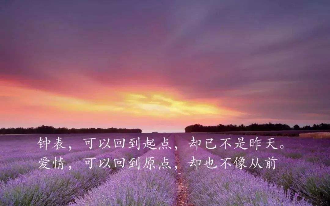 微博很火的致自己的经典句子,2021微博上很经典的唯美句子