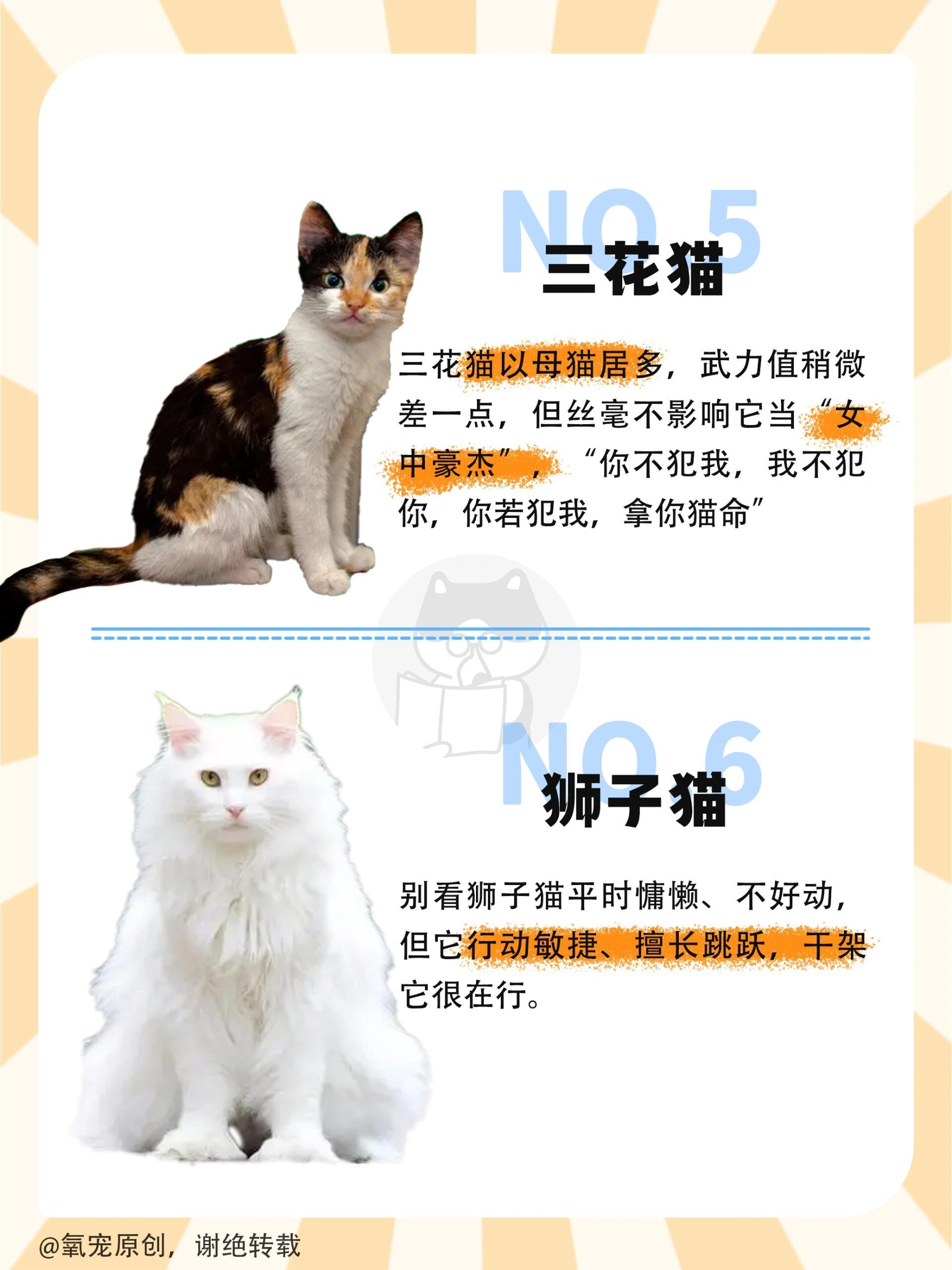 猫到底属水还是属木,猫到底属水还是属木?