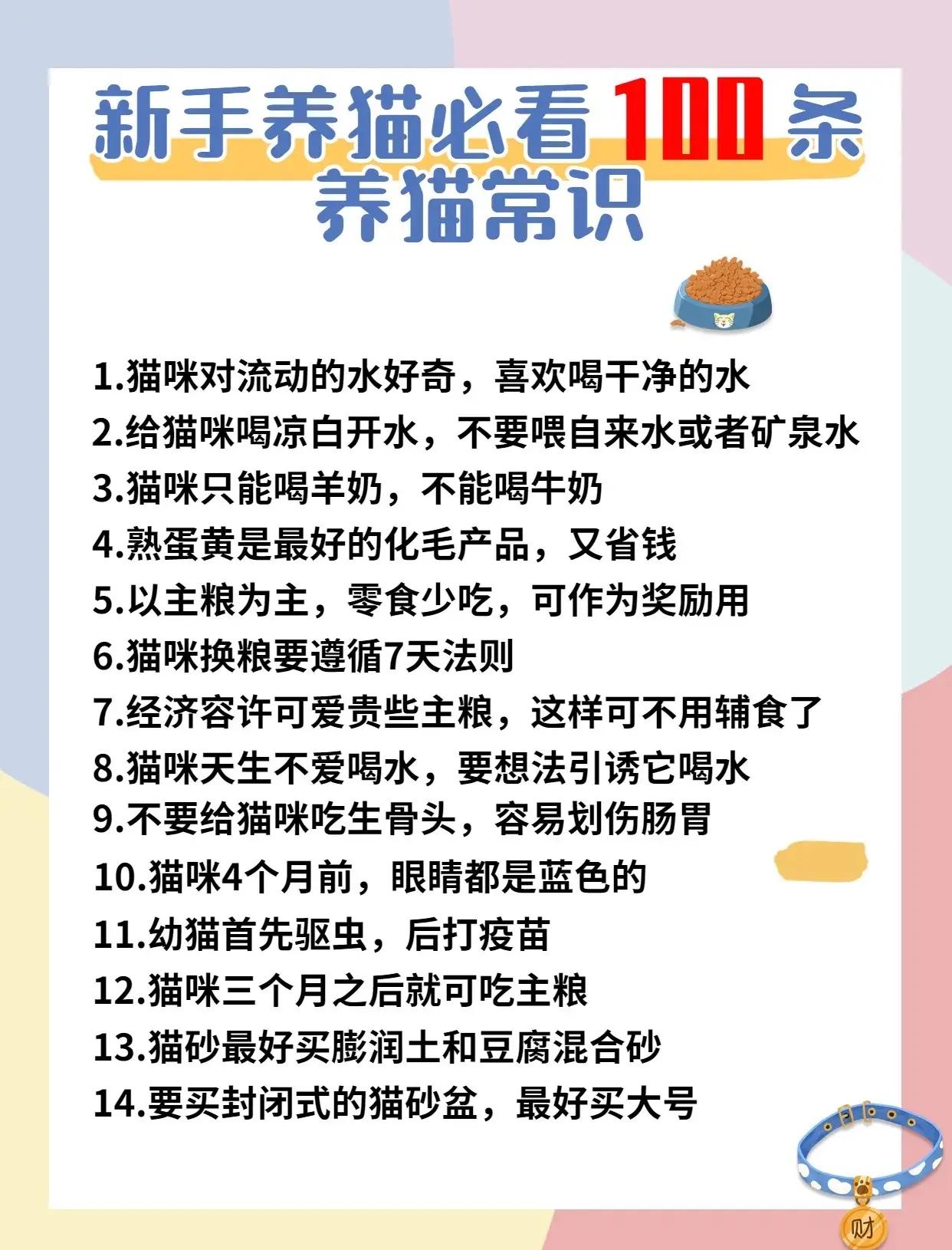 养猫方法养猫方法简述,