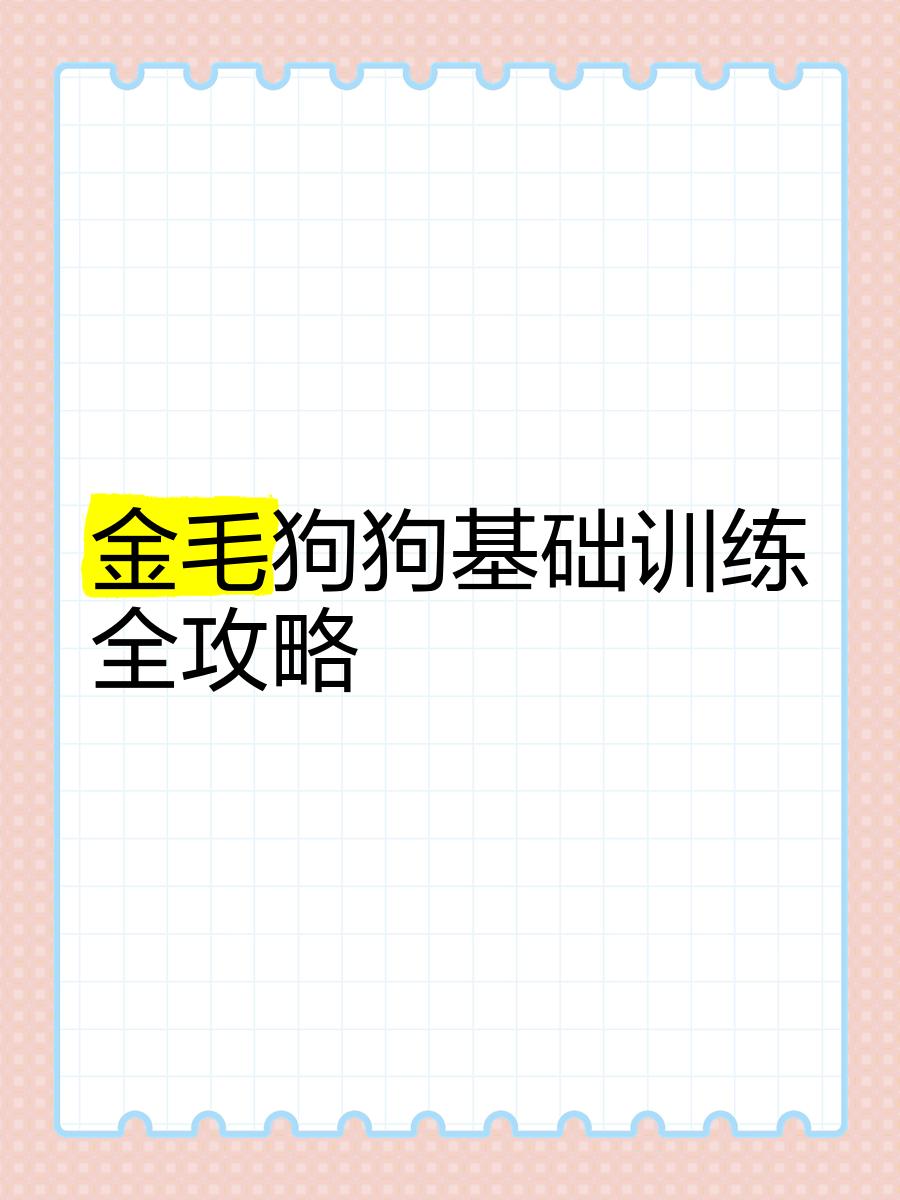 训练金毛的方法是什么,怎样训练金毛幼犬视频教程
