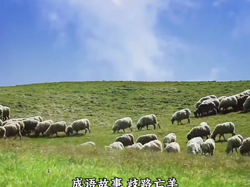歧路亡羊什么意思及寓意故事,歧路亡羊的简介和寓意