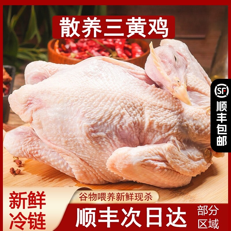 鸡的养殖方法大全,鸡的养殖方法大全图解