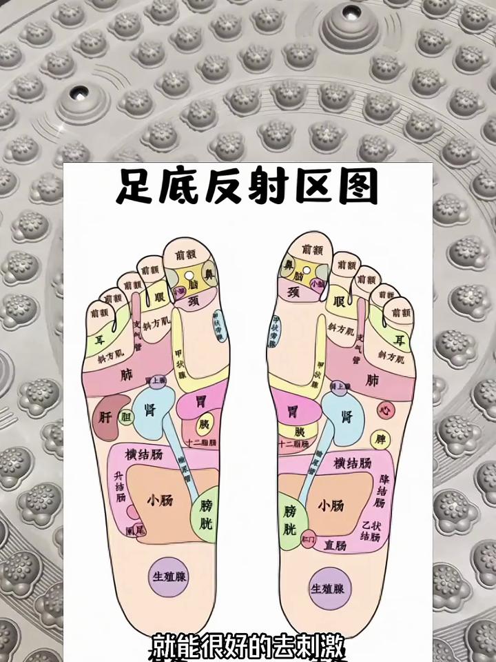 足底穴位养生知识,