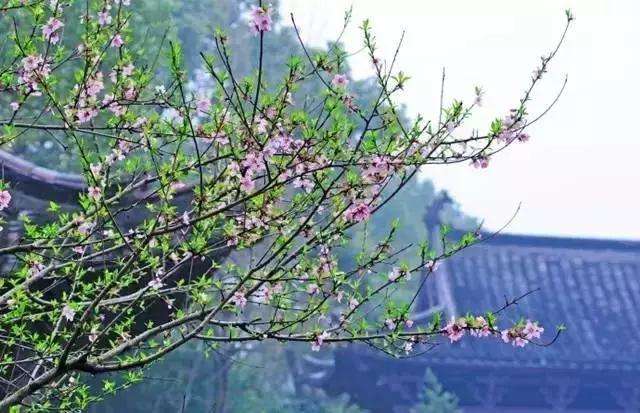 一枕黄粱是什么意思,一枕黄粱是什么意思解释