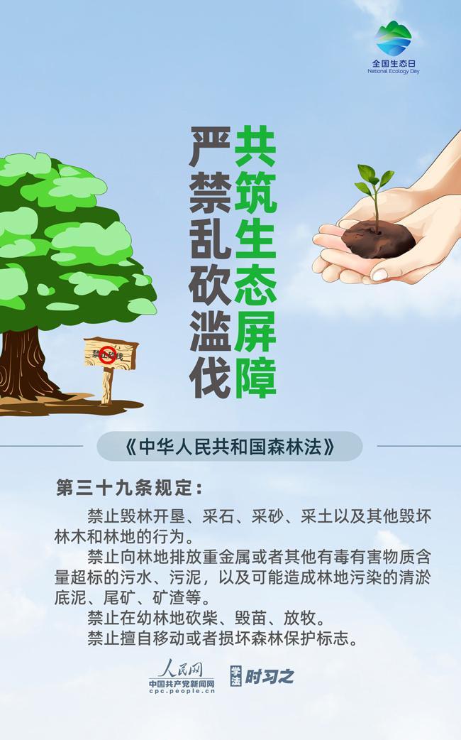 保护生态环境内容,保护生态环境内容简短