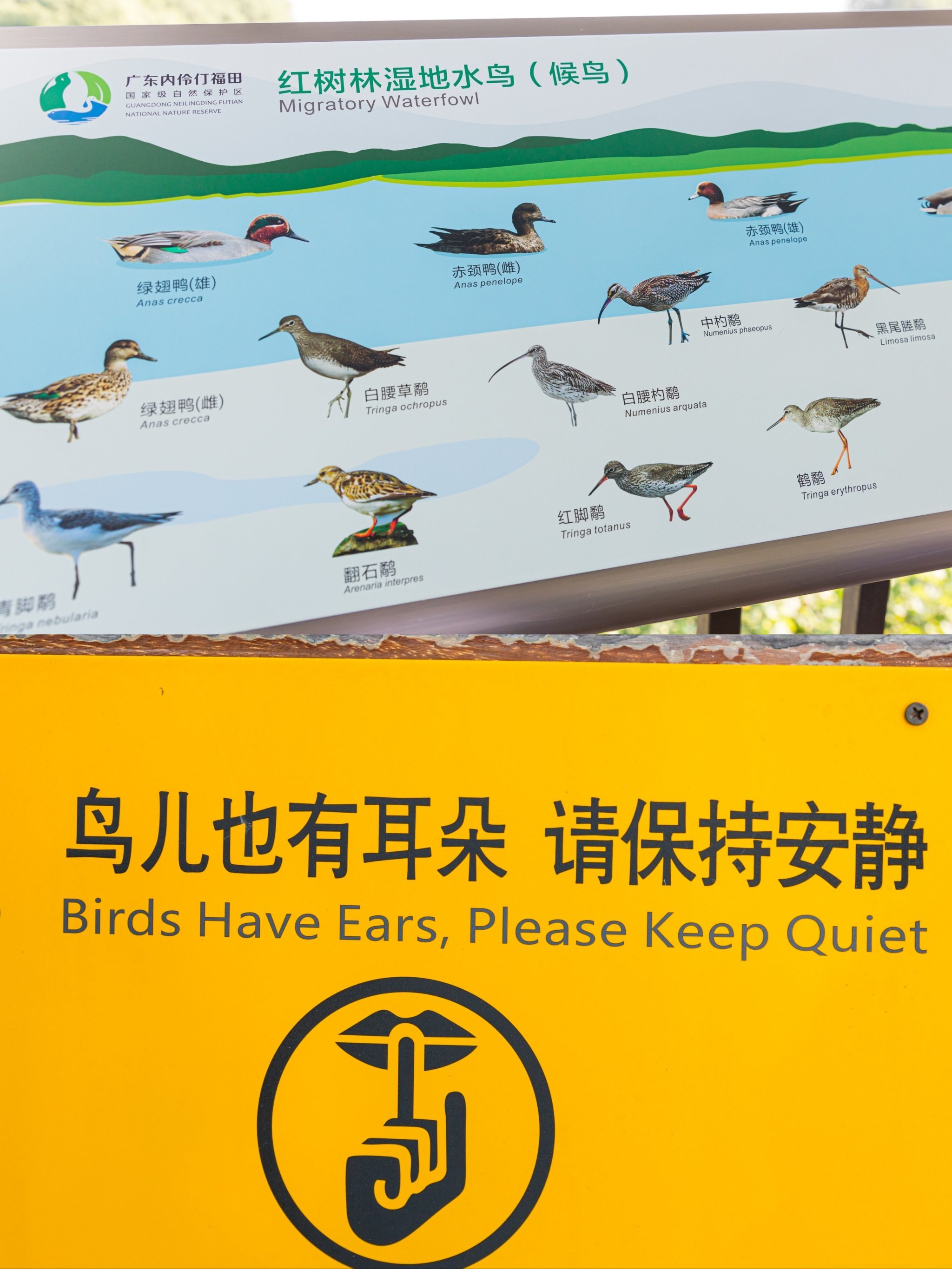 声名鹊起名声大噪区别介绍,声名鹊起和声名大噪有什么区别