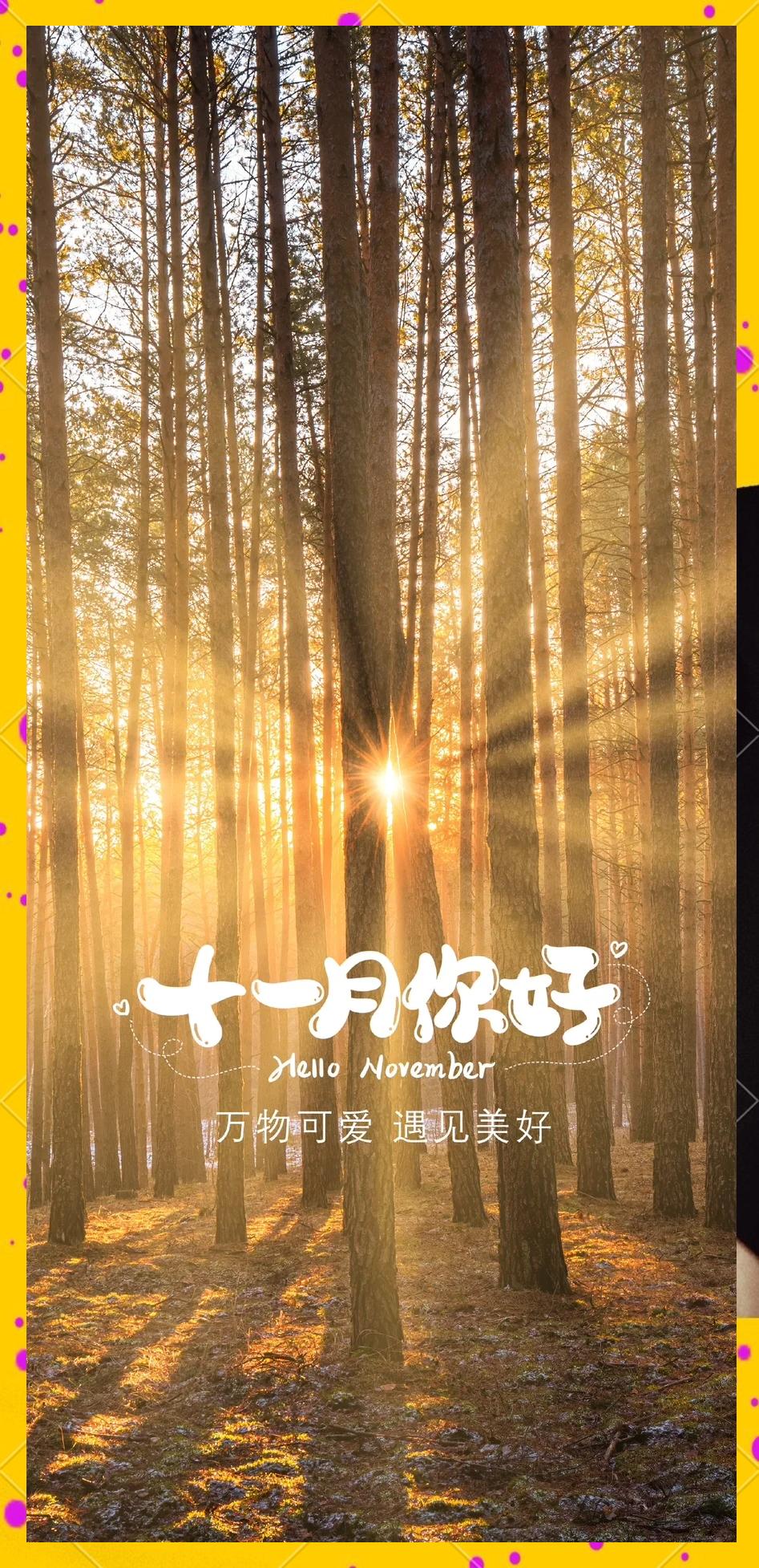 十一月发朋友圈的简短句子,十一月发朋友圈的简短句子搞笑