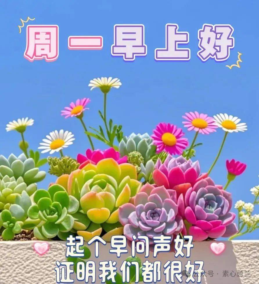 周一温馨祝福短信,周一温馨祝福语简短一句话