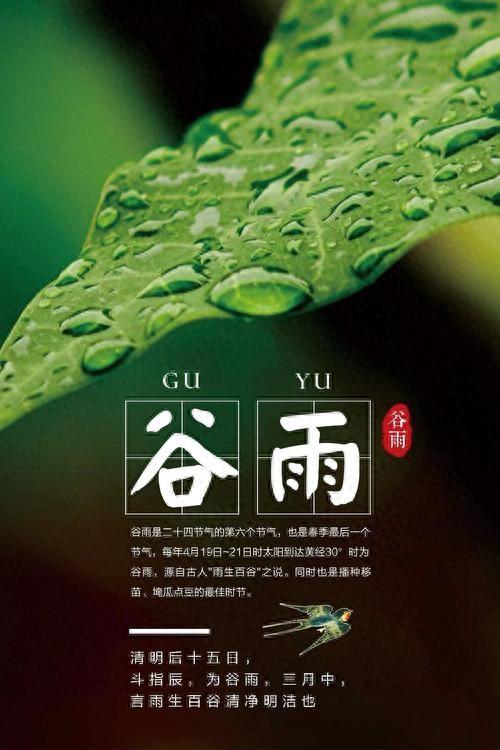 谷雨什么意思,谷雨什么意思和由来