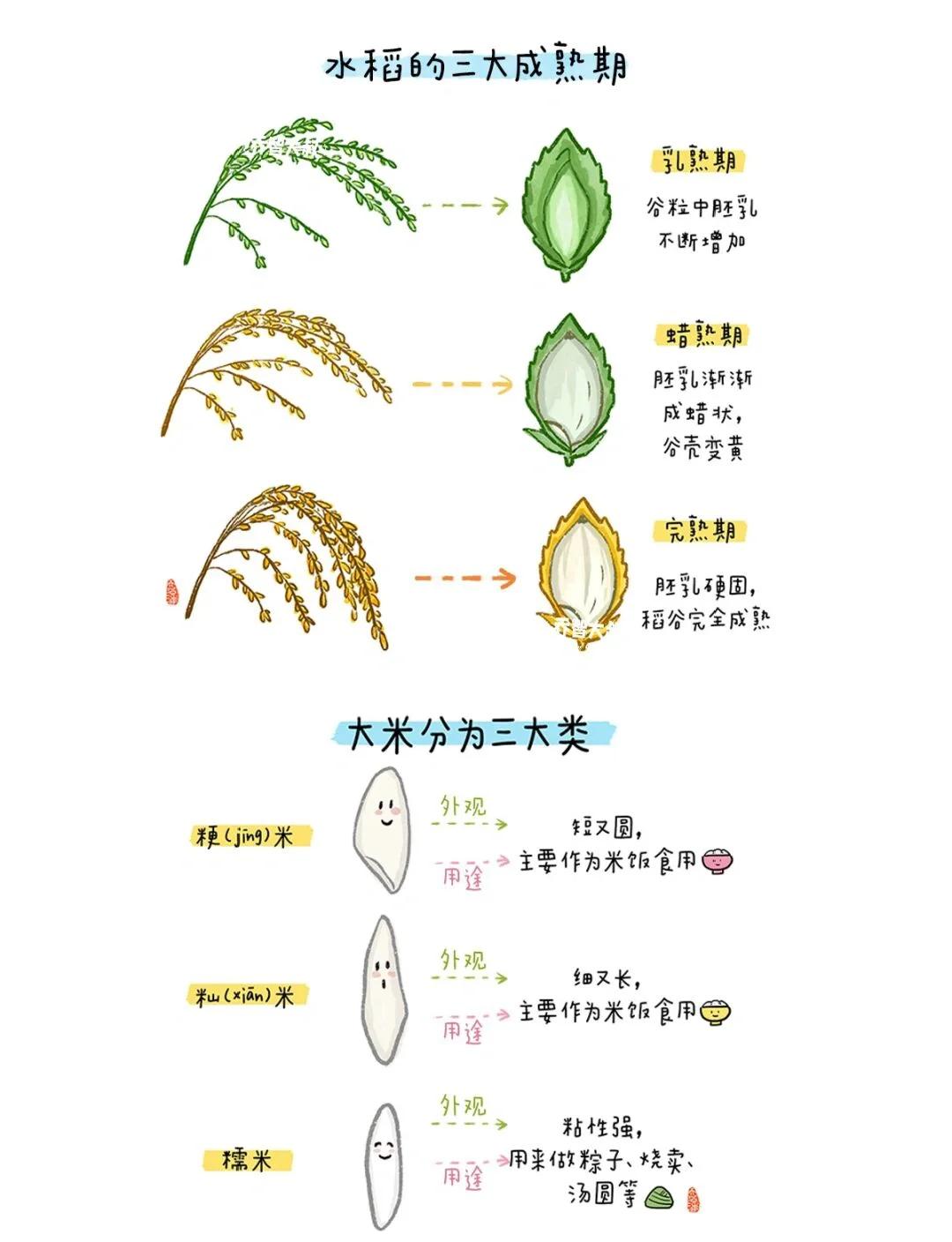 六谷的解释,六谷指的是什么,每一个怎么读?