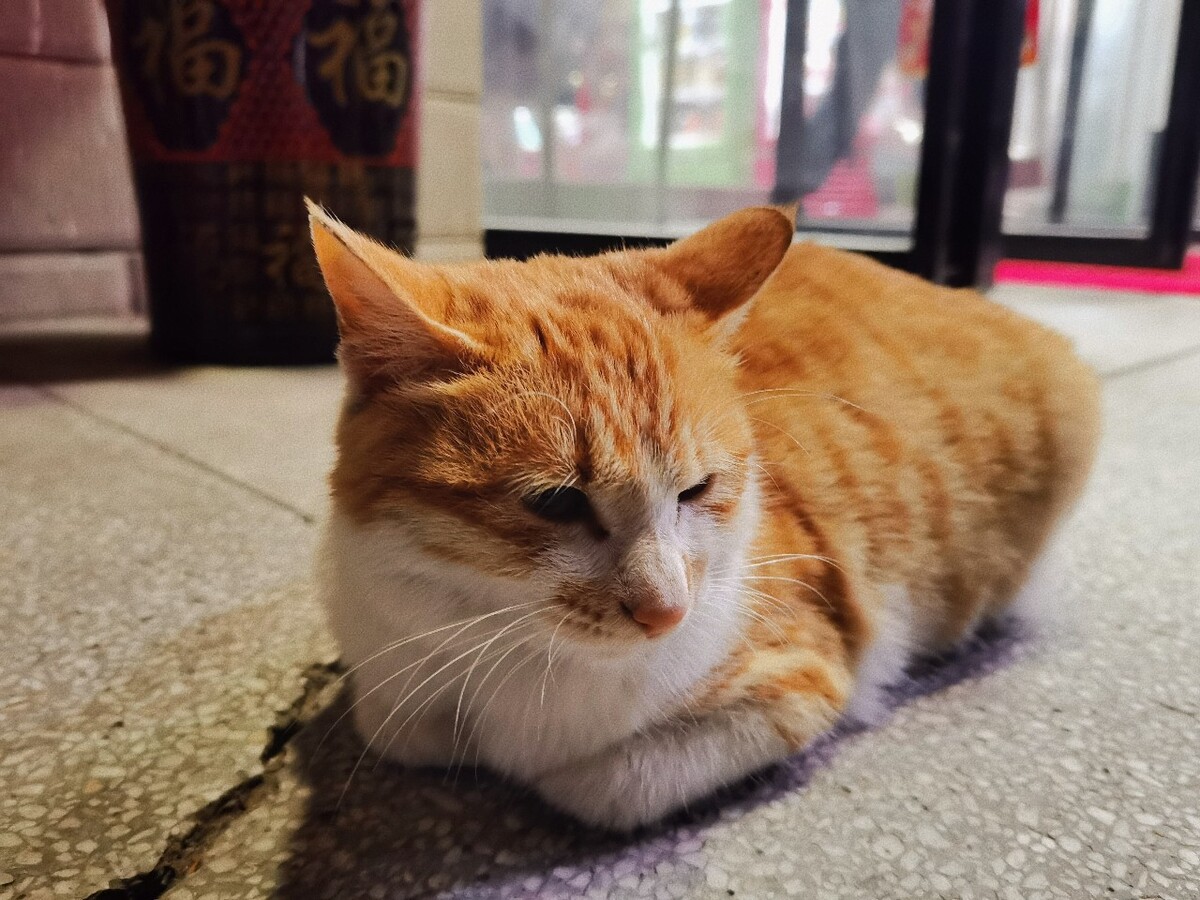 揣怎么读,揣着怎么读