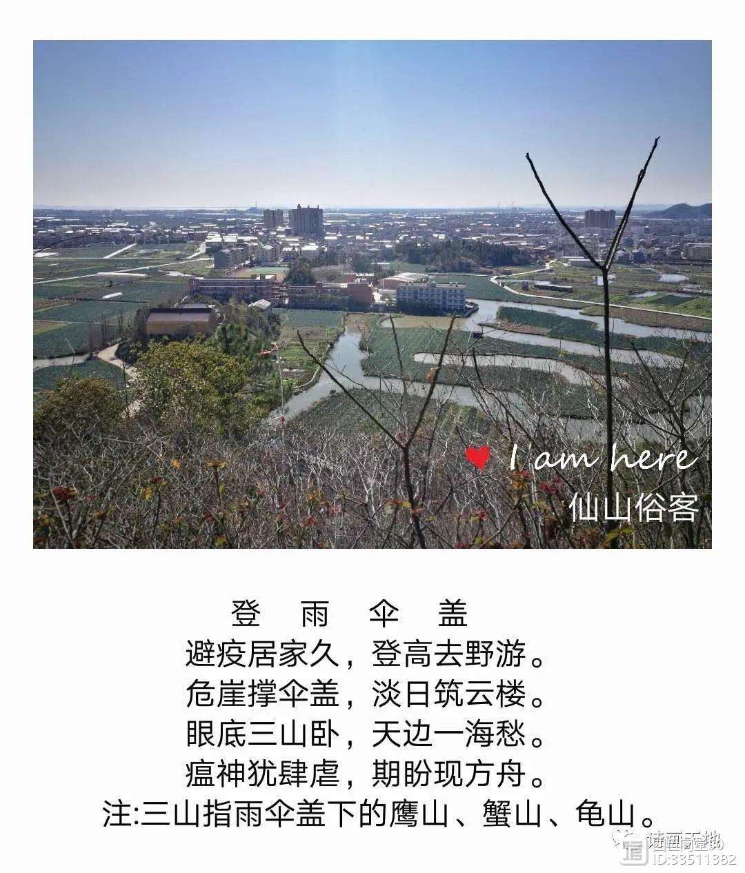 悠悠岁月歌词,悠悠岁月歌词是什么歌