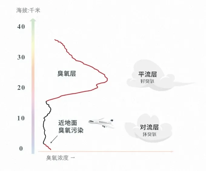 臭氧层能够吸收什么物质,臭氧层可以吸收掉太阳光中的什么