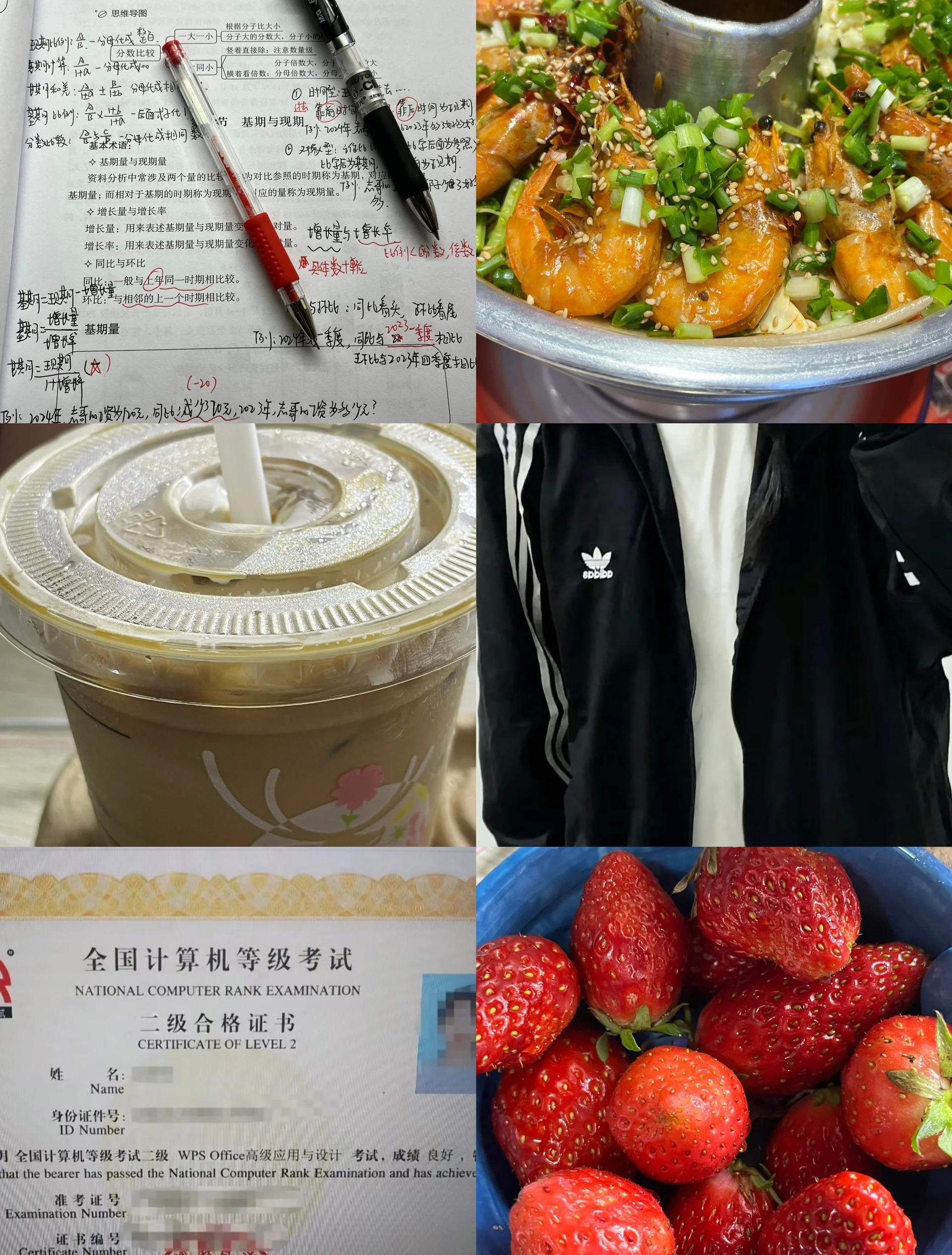 计算机2级考试内容,计算机2级考试内容有哪些