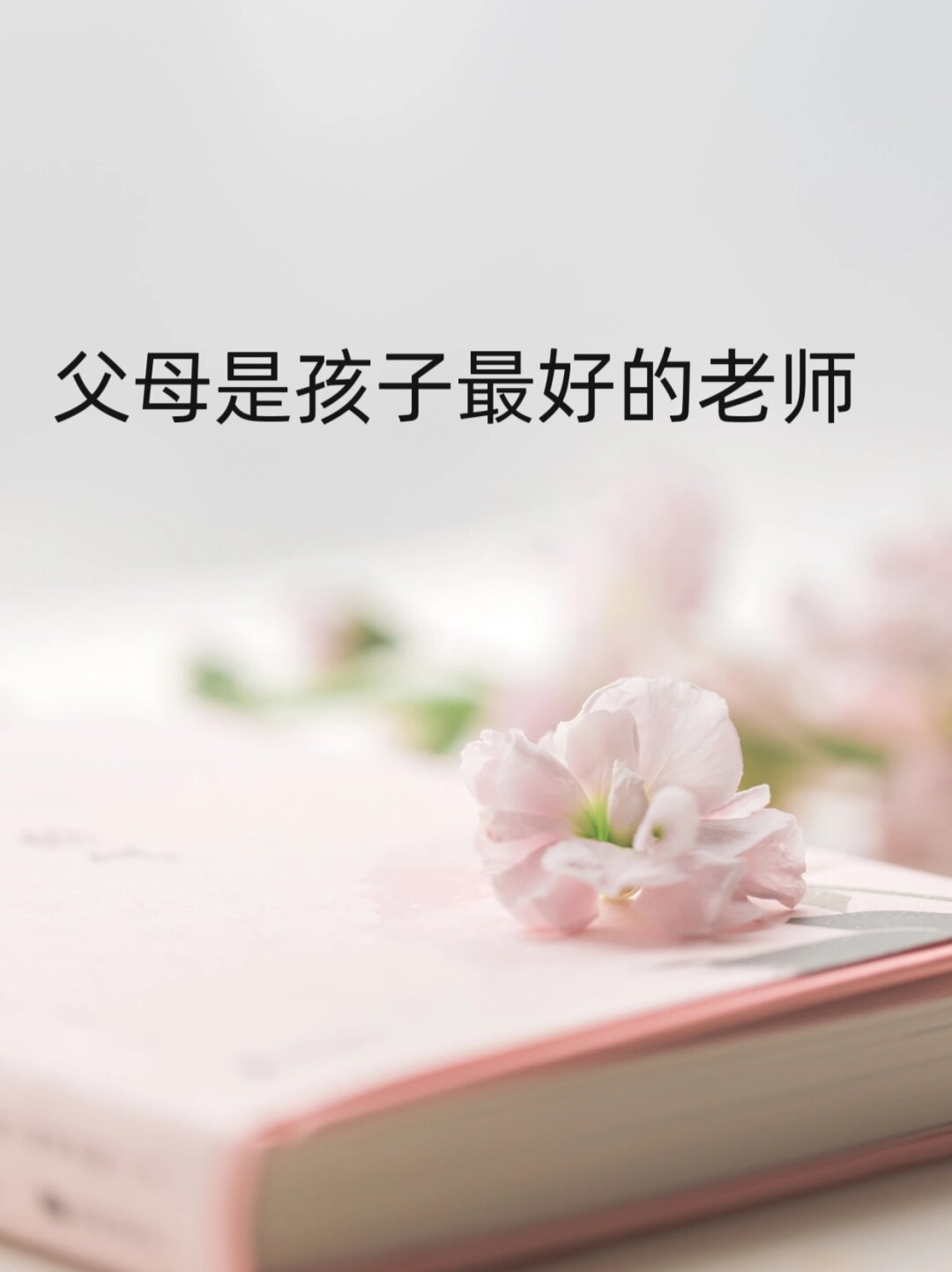 向老师介绍自己的孩子,向老师介绍自己的孩子的时候提到家人这一块应该怎么说
