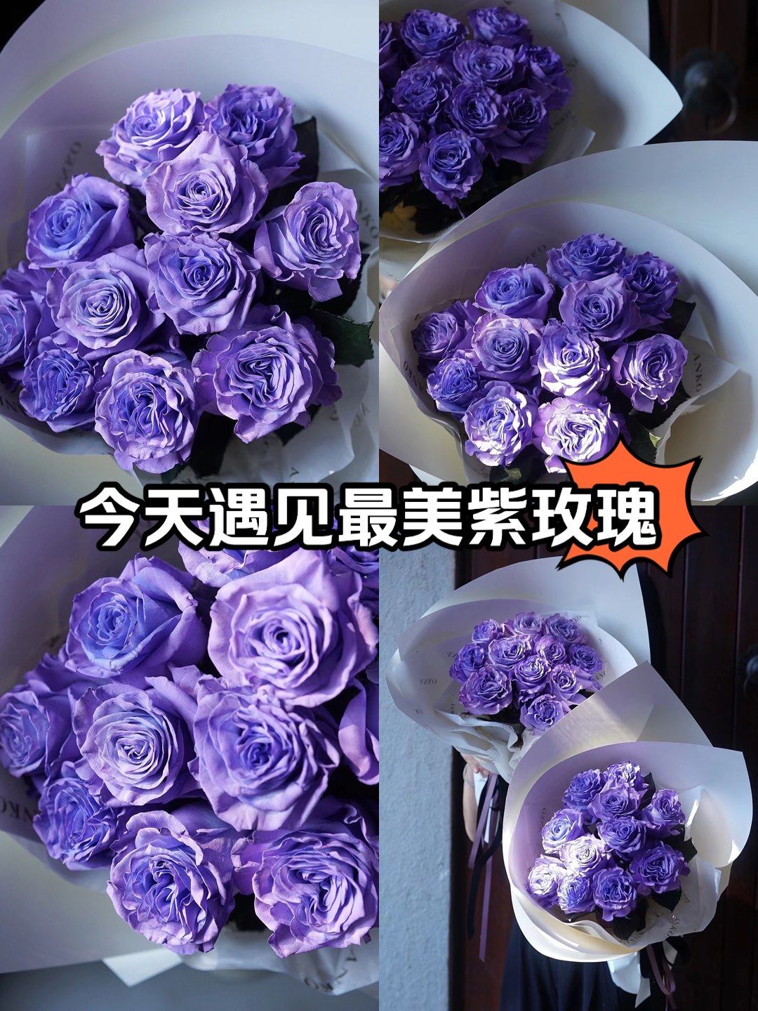 紫玫瑰代表着什么,紫玫瑰代表什么象征意义