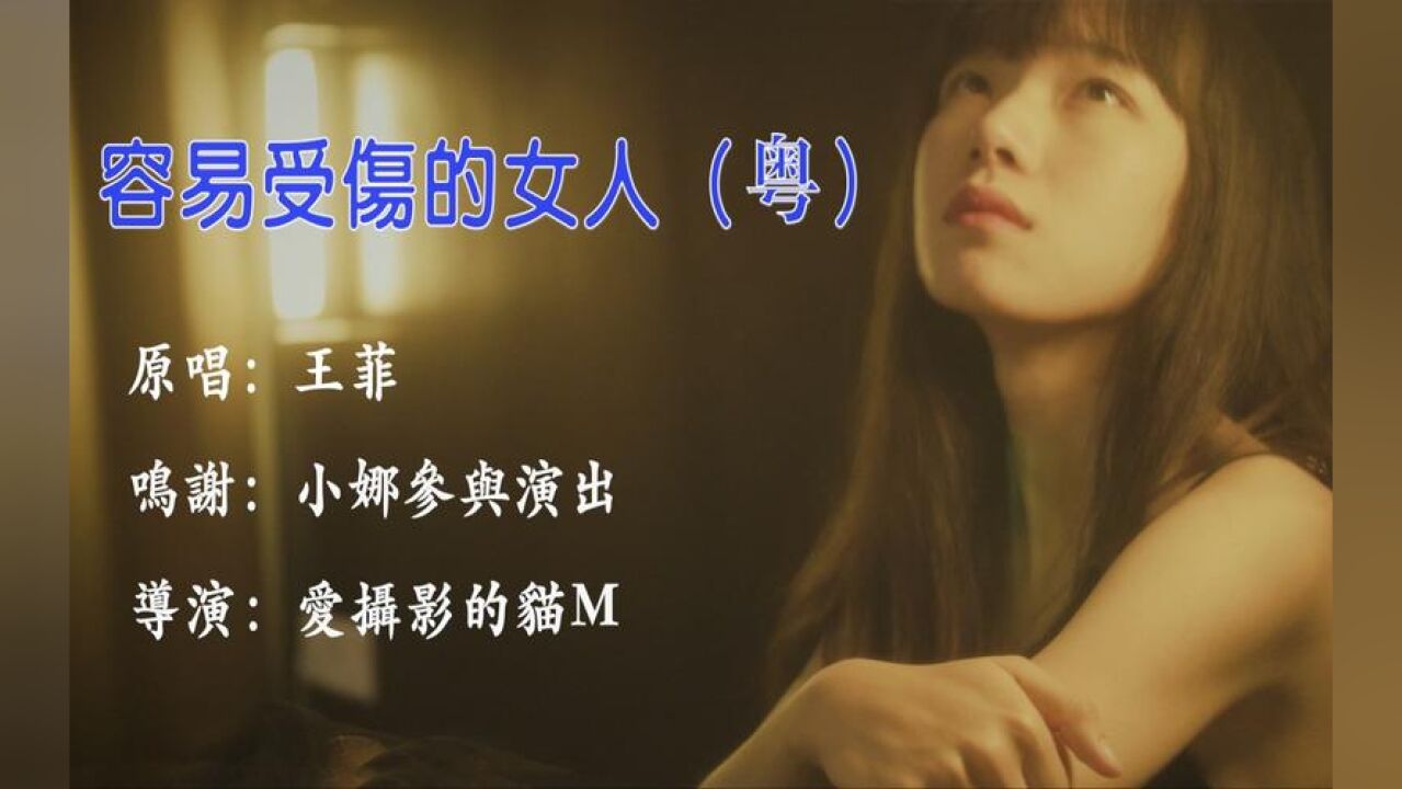 容易受伤的女人歌曲介绍,容易受伤的女人的曲还有哪首歌
