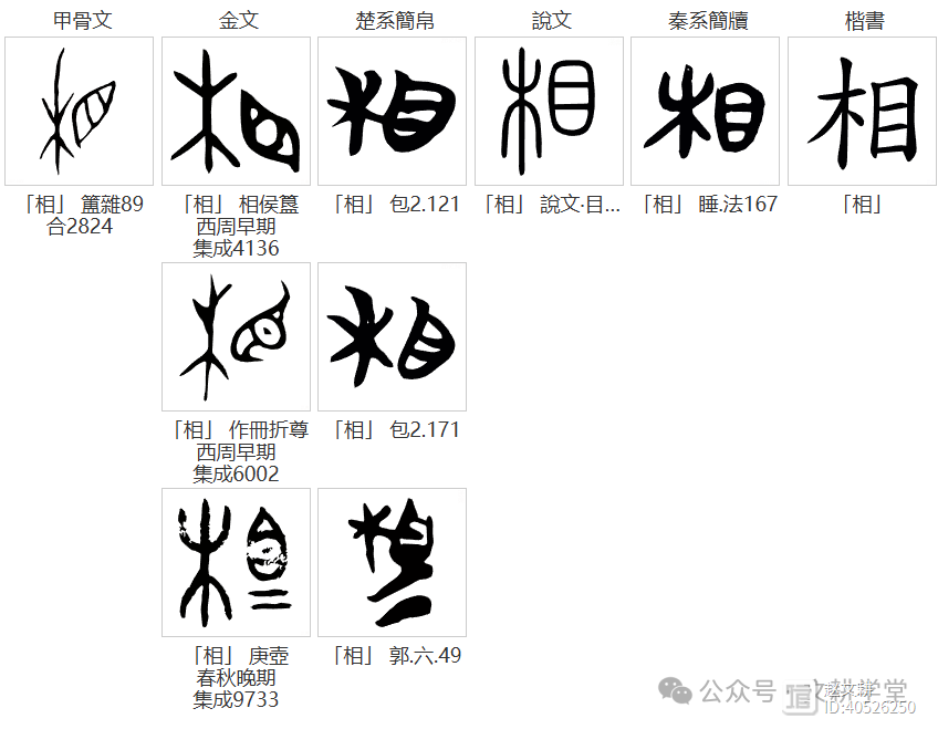 珺字的含义,珺 含义