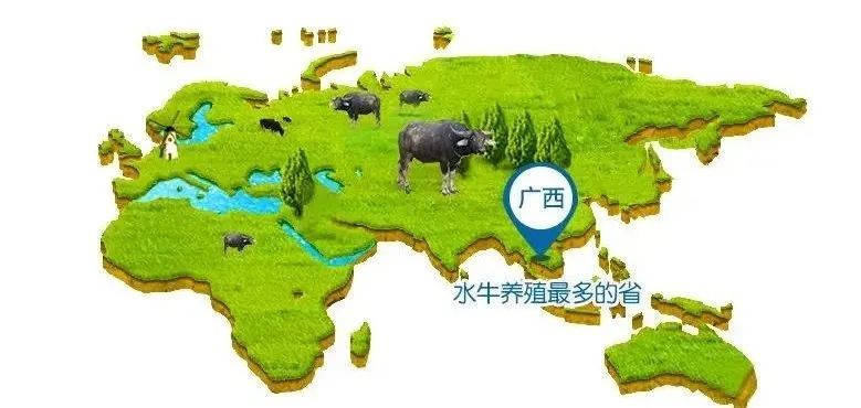 欢乐水牛是什么歌,欢乐水牛出自哪首歌