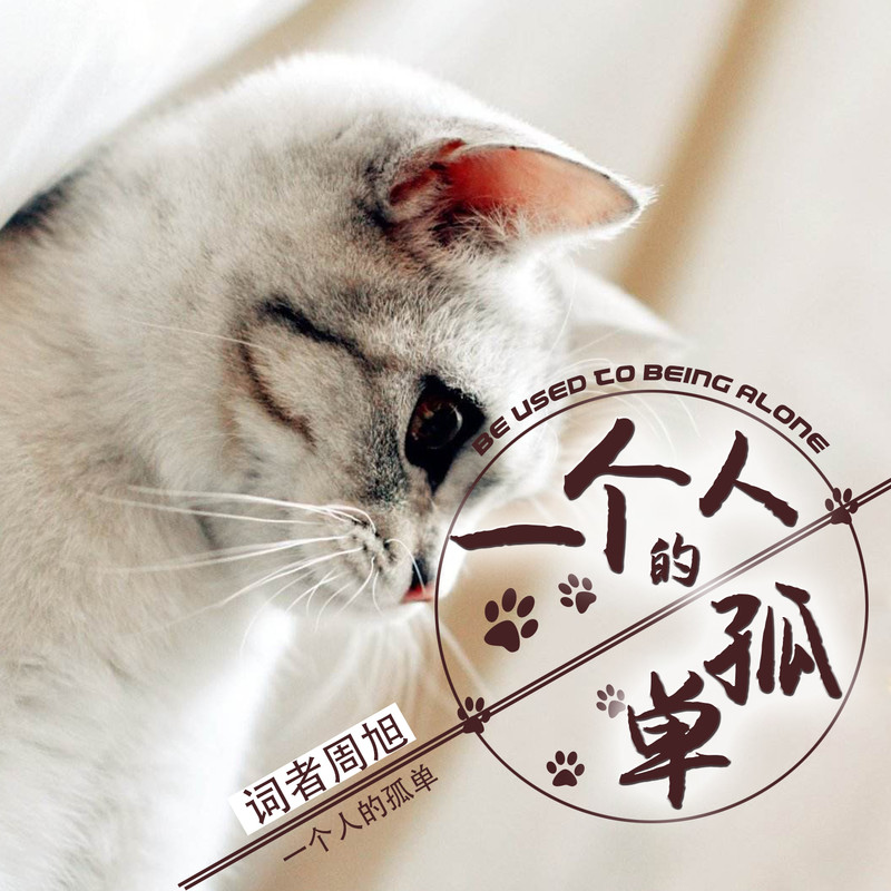 一个人走完整版歌词,歌曲一个人走