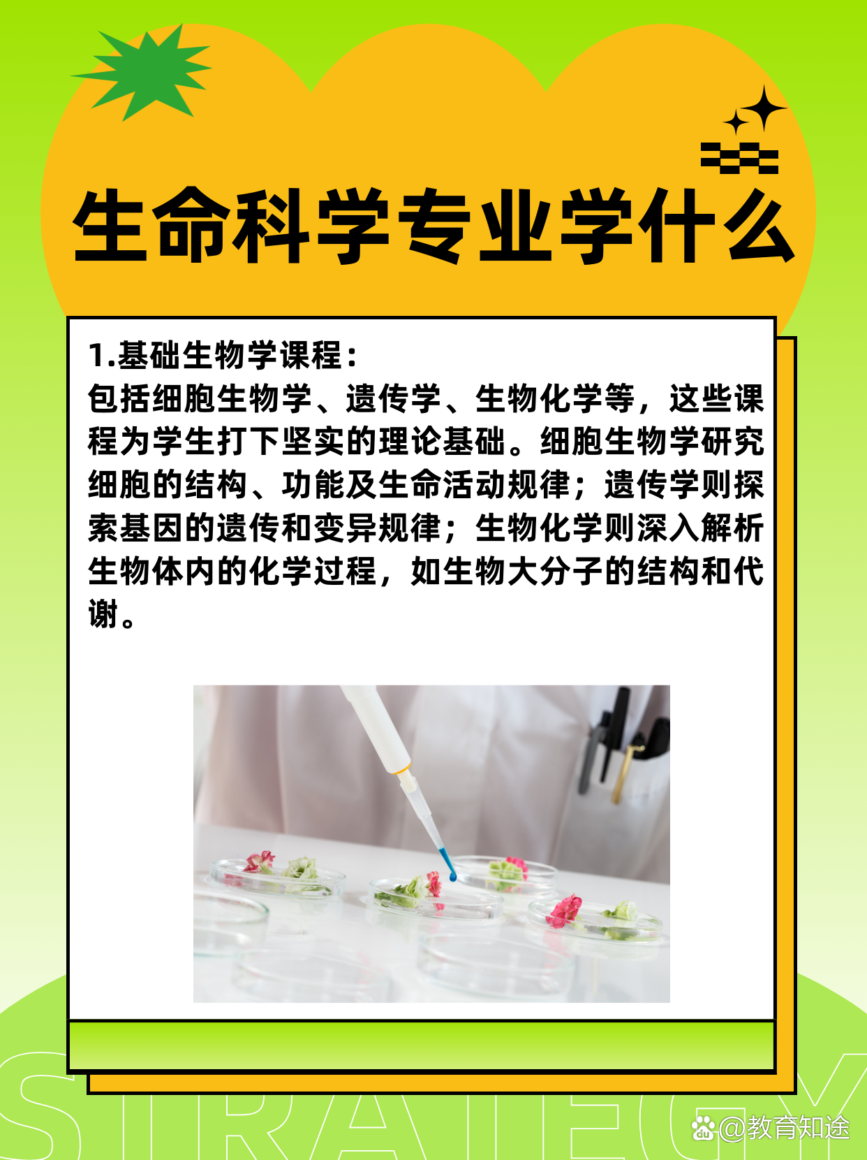 学生物化学这个专业以后可以干嘛,学生物化学这个专业以后可以干嘛呢