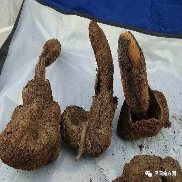 早泄的偏方,治疗早射有什么偏方吗