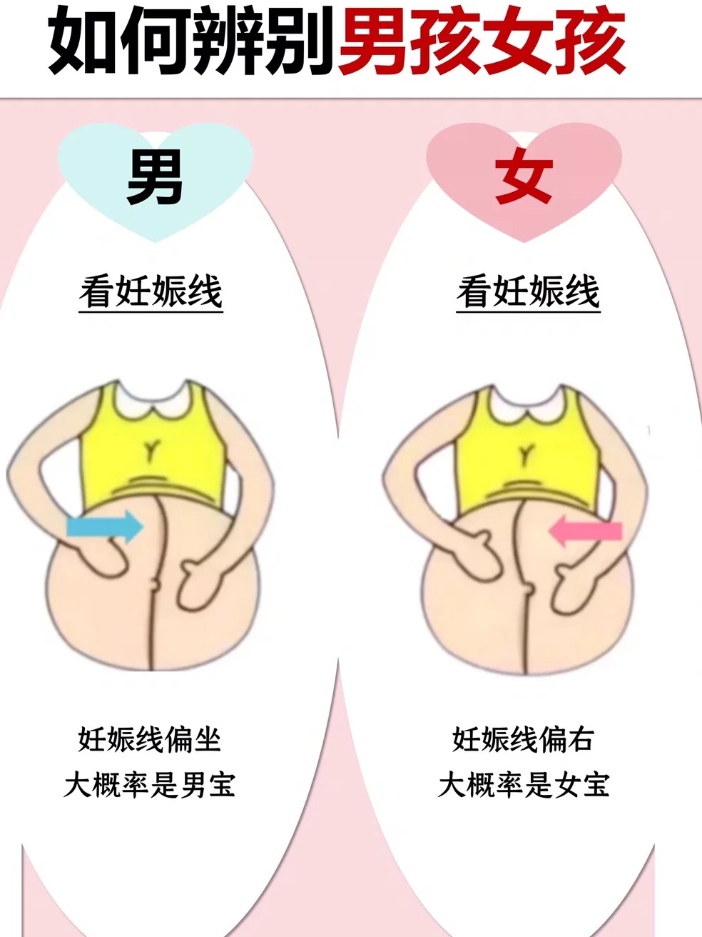男和女有什么区别