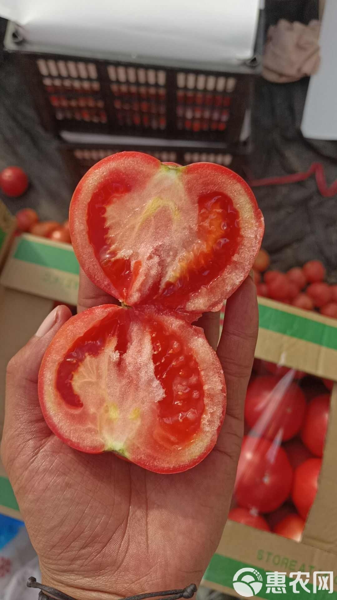 硬西红柿能生吃吗,硬的西红柿能放多久