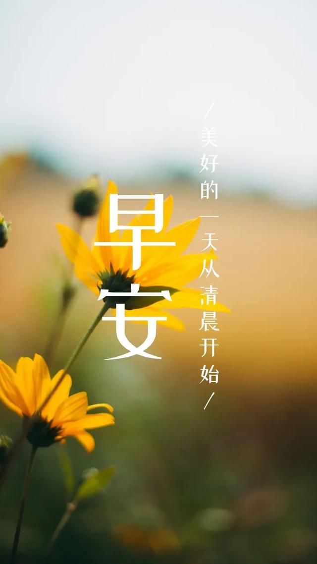 2025年9月 第141页