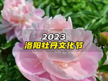 2025年9月19日 第2页